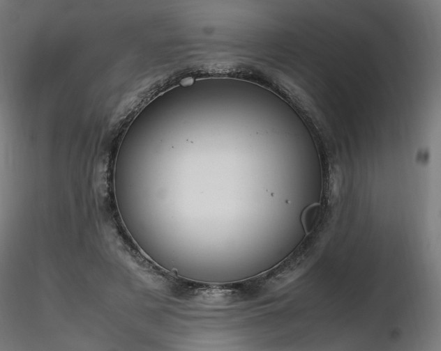 X0000116840497200912181501