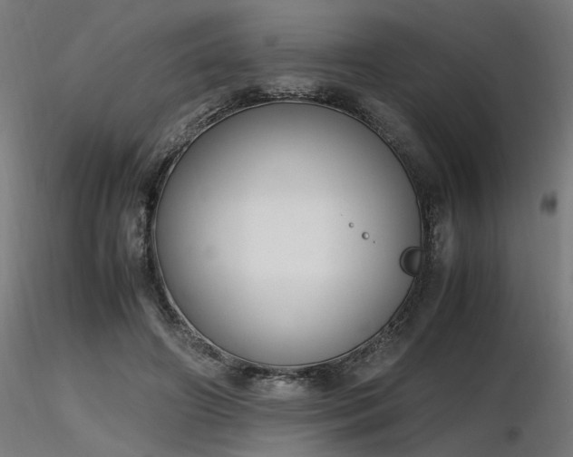 X0000116840498200912181501