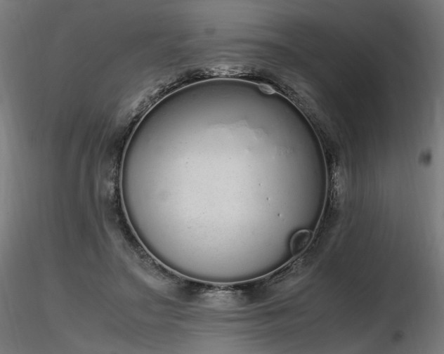 X0000116840499200912181501