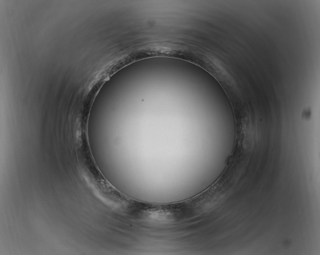 X0000116840500200912181501