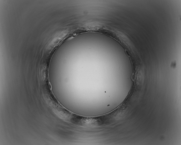 X0000116840501200912181501