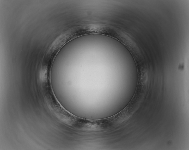 X0000116840502200912181501