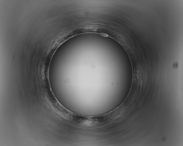 X0000116840504200912181501