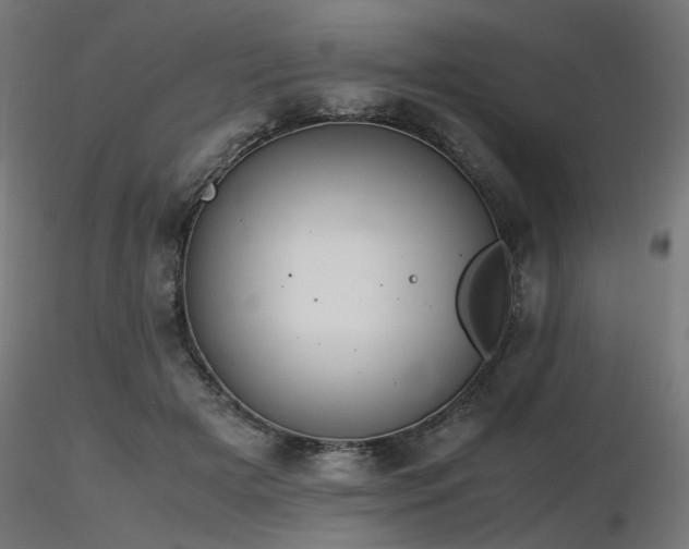X0000116840505200912181501