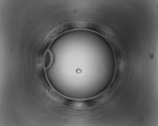 X0000116840507200912181501