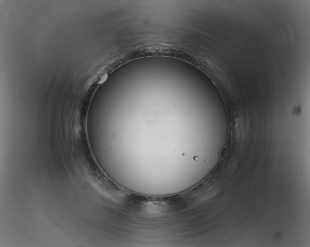 X0000116840508200912181501