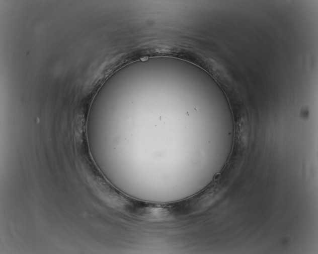X0000116840509200912181501