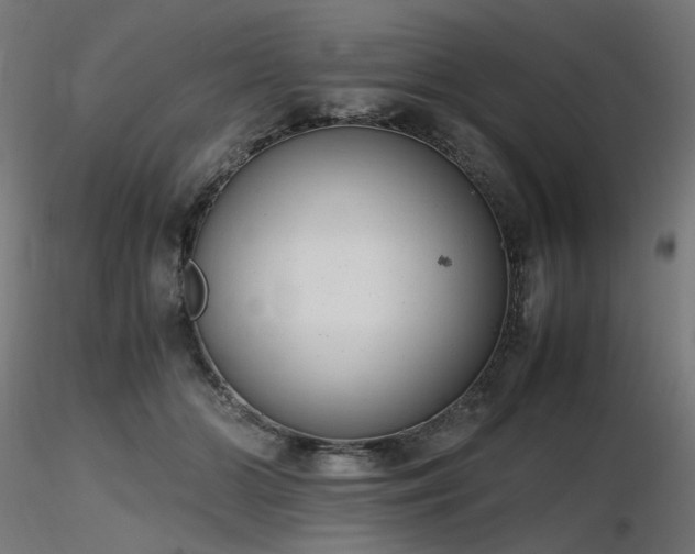 X0000116840510200912181501