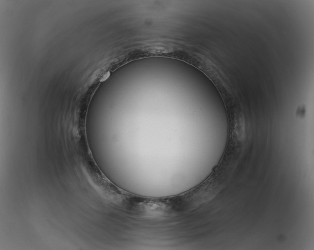 X0000116840512200912181501