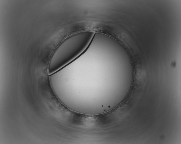 X0000116840513200912181501