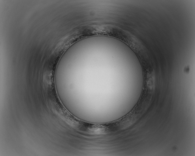 X0000116840514200912181501