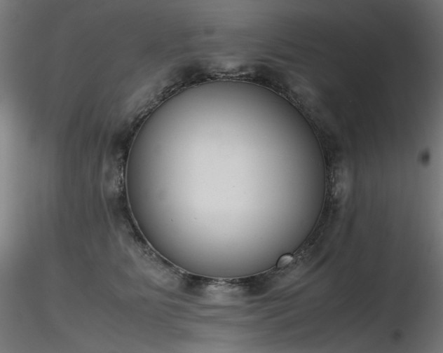 X0000116840515200912181501