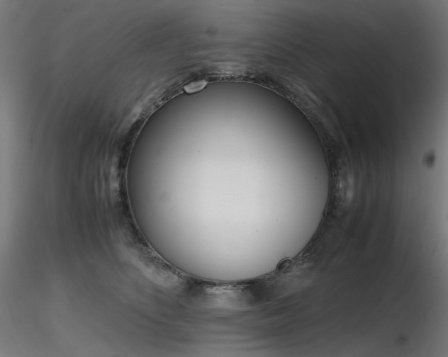 X0000116840516200912181501