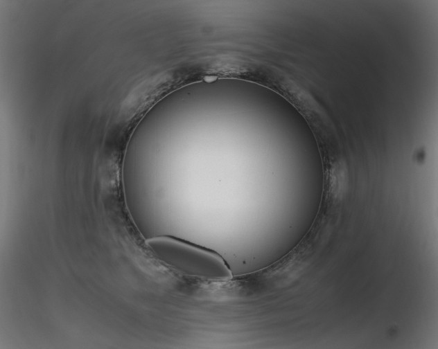 X0000116840517200912181500