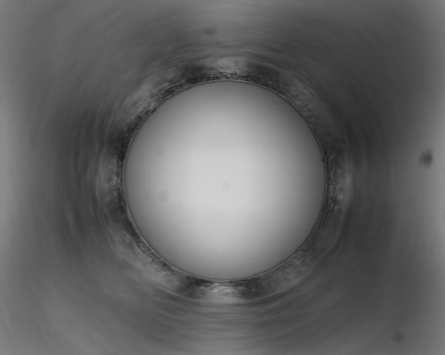 X0000116840518200912181500