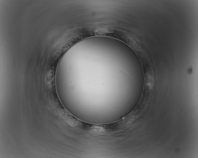 X0000116840519200912181500