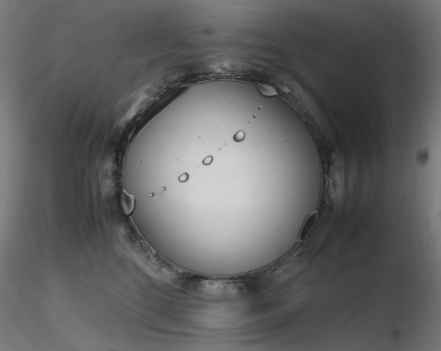 X0000116840520200912181500