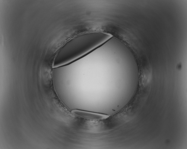 X0000116840521200912181500