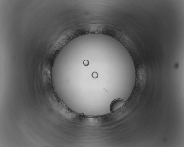 X0000116840522200912181500