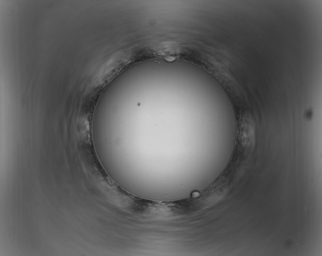 X0000116840523200912181500