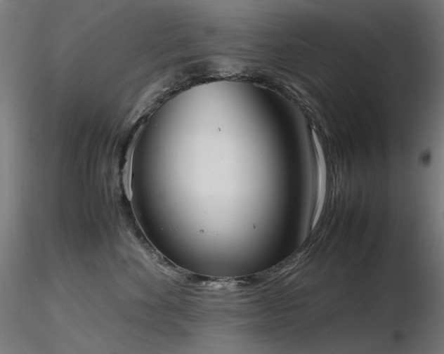 X0000116840524200912181500