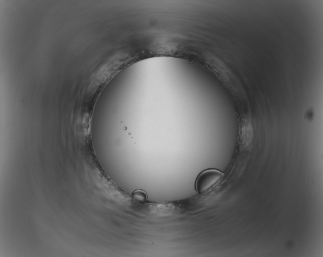 X0000116840525200912181500