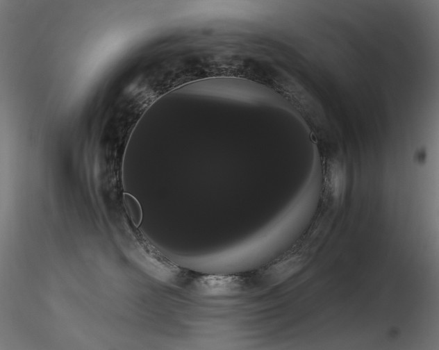 X0000116840526200912181500