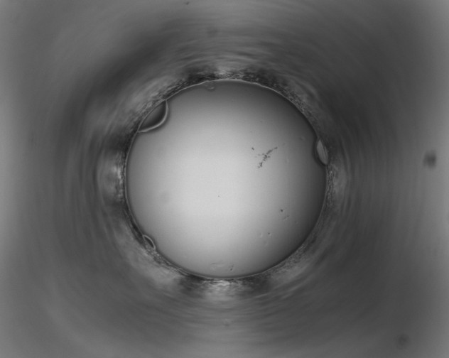 X0000116840527200912181500