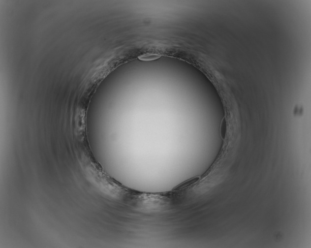 X0000116840528200912181500