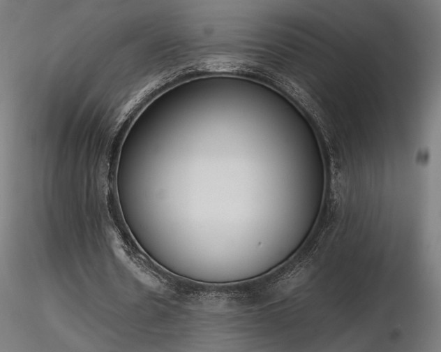 X0000116840530200912181500