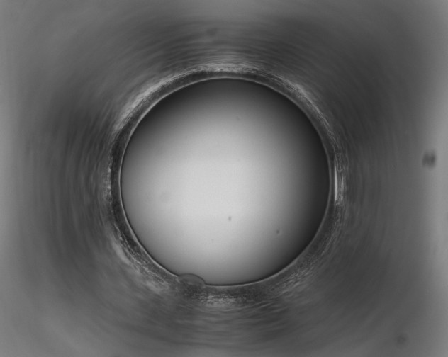 X0000116840531200912181500