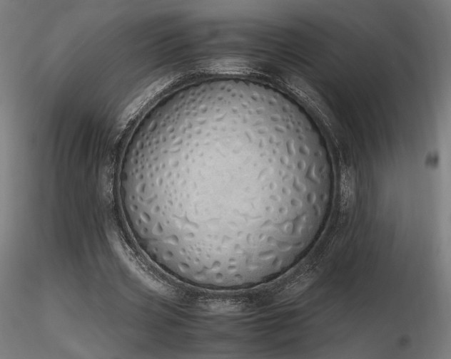 X0000116840533200912181500