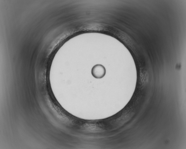 X0000116840534200912181500