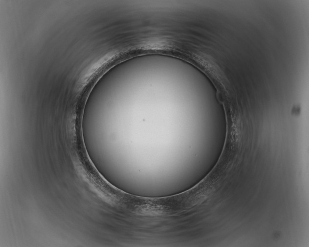 X0000116840535200912181500