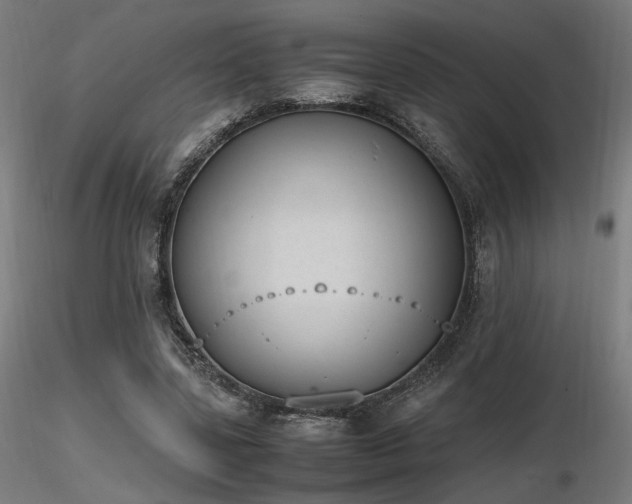X0000116840539200912181500