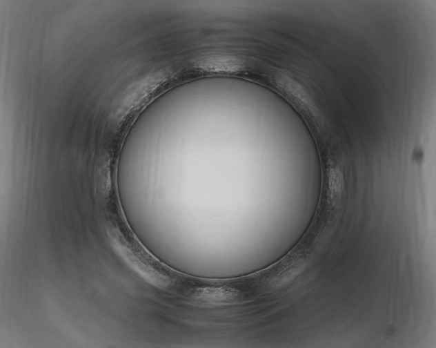 X0000116840541200912181500