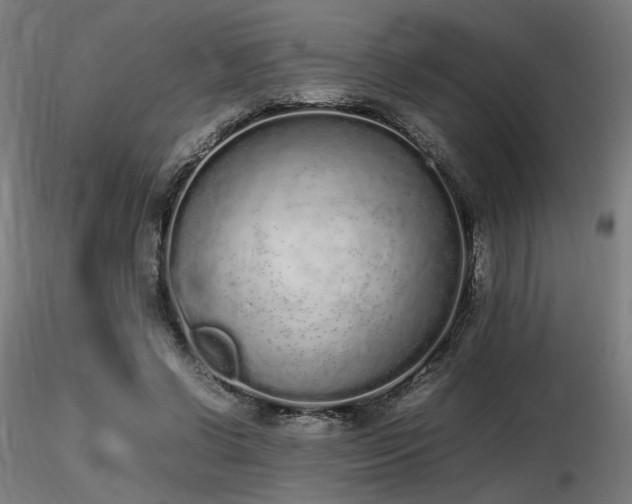 X0000116840542200912181500