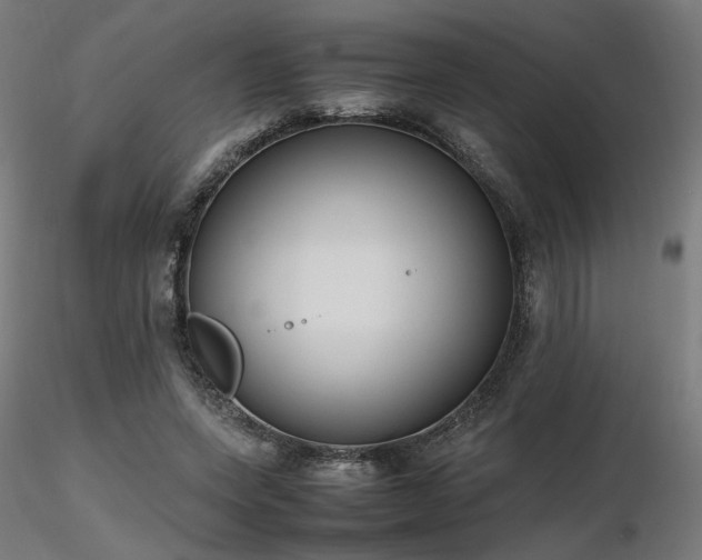 X0000116840543200912181500