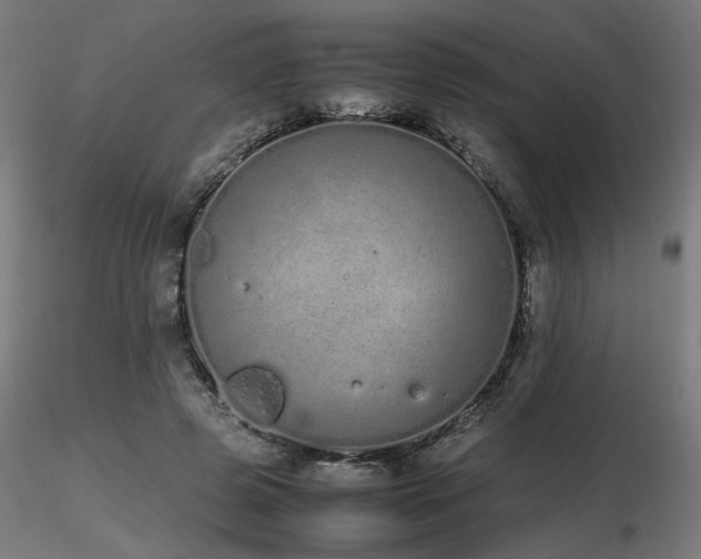 X0000116840545200912181500