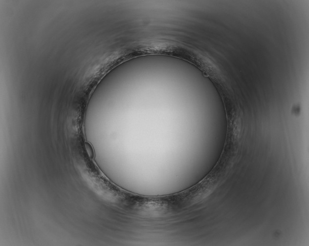 X0000116840546200912181500