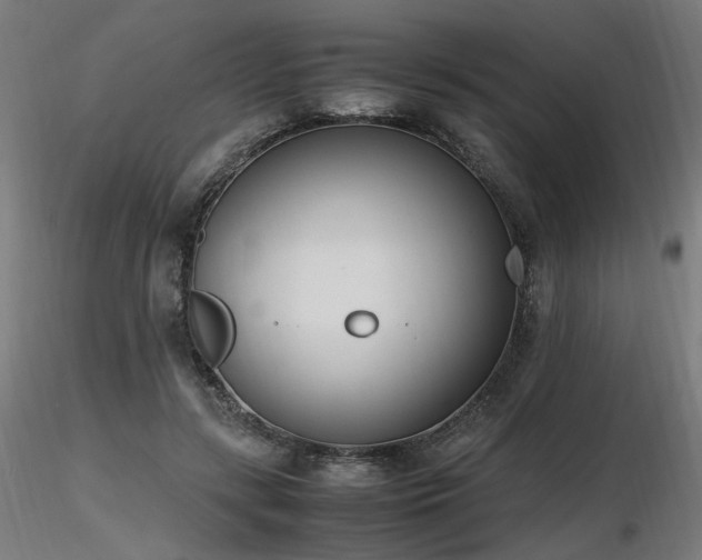 X0000116840547200912181500