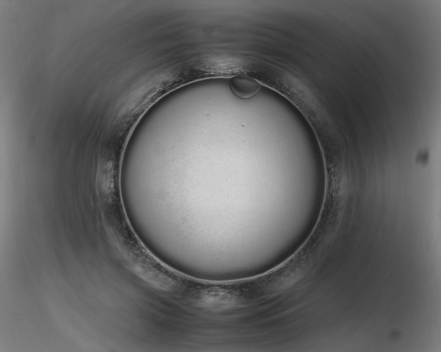 X0000116840549200912181500