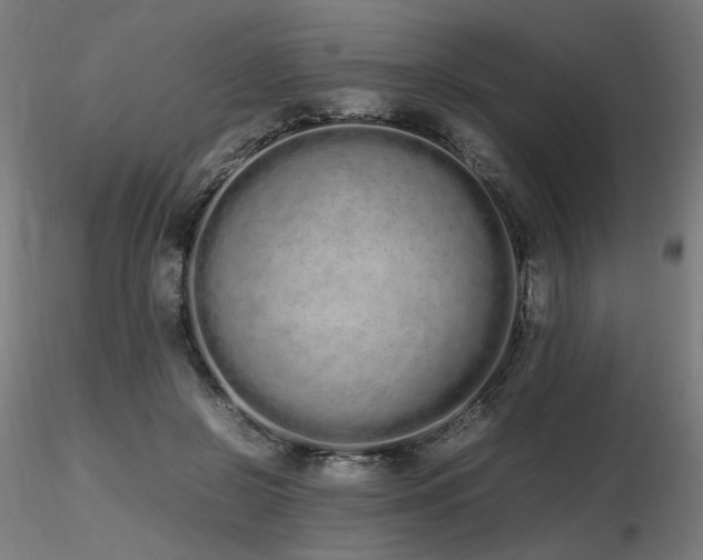 X0000116840550200912181500