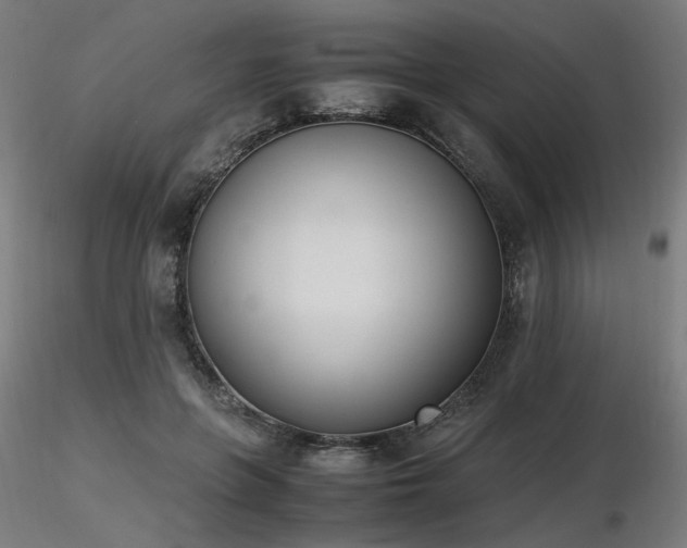 X0000116840551200912181500