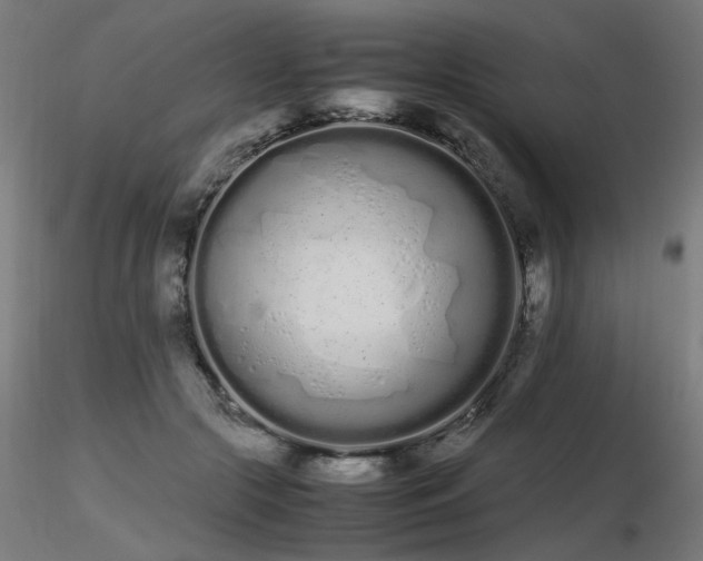 X0000116840553200912181500