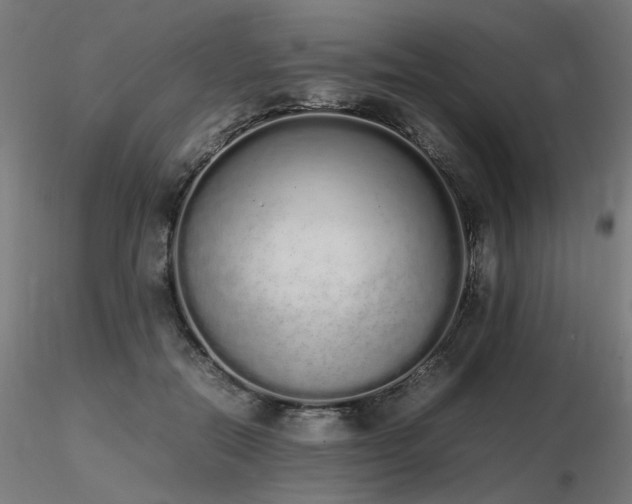 X0000116840554200912181500
