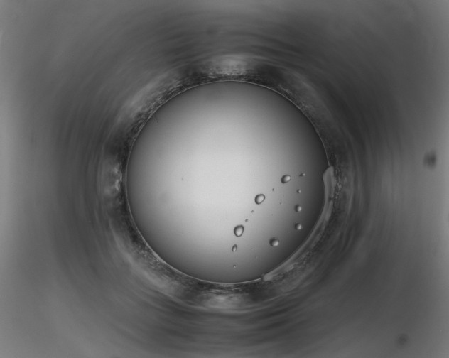 X0000116840555200912181500