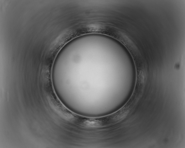 X0000116840557200912181500