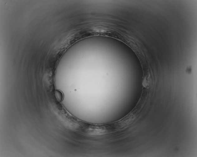 X0000116840559200912181500