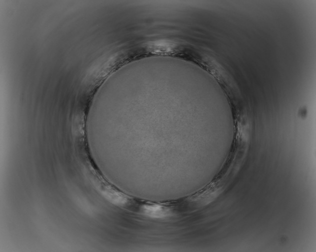 X0000116840561200912181500